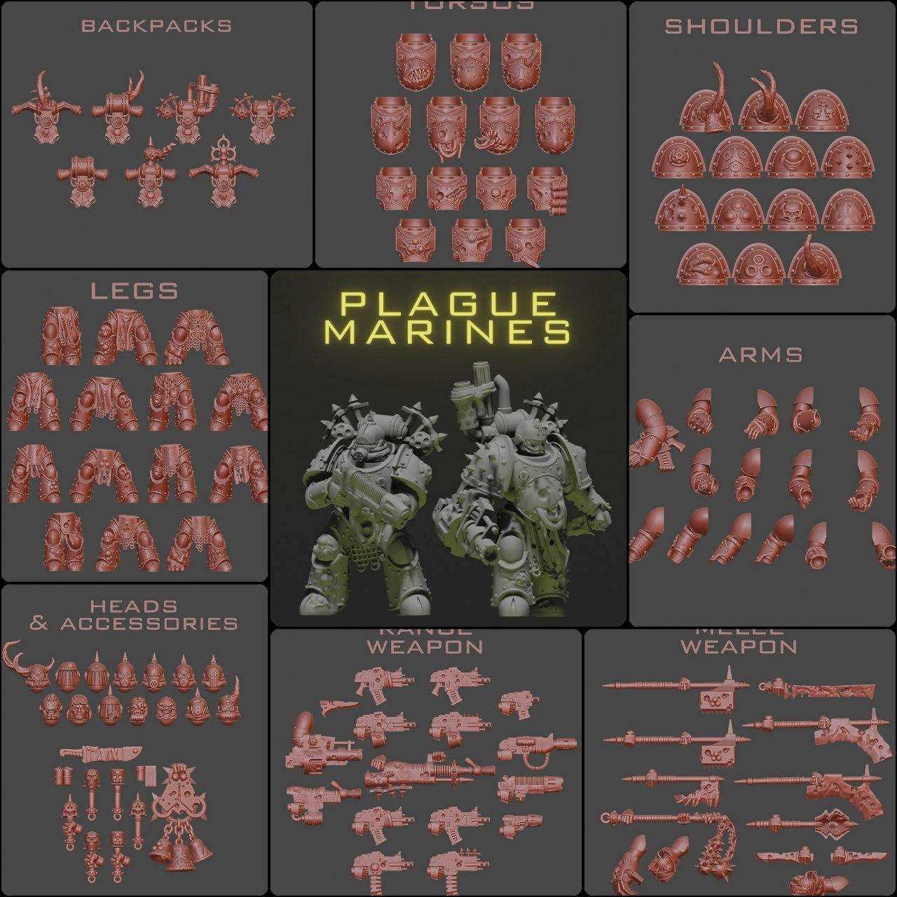 Das Modell PUTRID COHORT BILDER COMPLETE